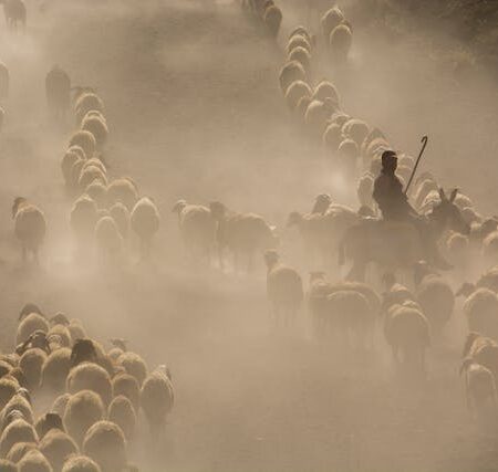 2025秋_教牧學一