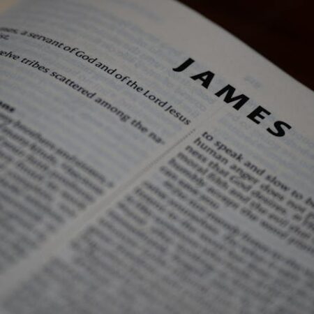 2025秋_PTQ雅各書與自我輔導