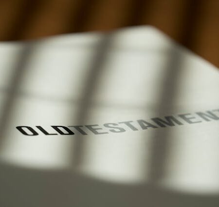 2025秋_舊約神學導論(大學)