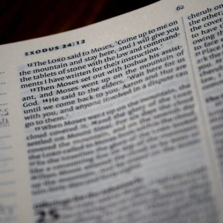 2026春_摩西五經(延伸制)